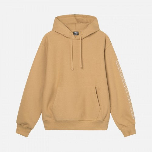 Stussy Sport App Hoodie1